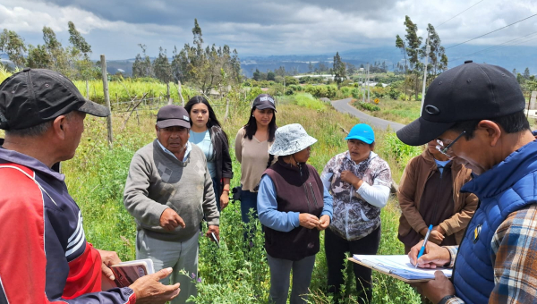 SEGUIMIENTO DE ENTREGA DE PLANTAS POR PARTE DE LAS AUTORIDADES DEL GADP PICAHUA Y TÉCNICOS DE LA MUNICIPALIDAD DE AMBATO